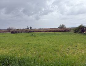 lands for sale in villalba del alcor