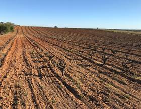 lands for sale in huelva province