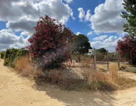 land sale bollullos par del condado andalucia by 24,000 eur