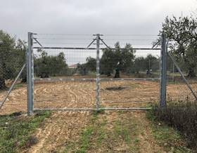 lands for sale in rociana del condado