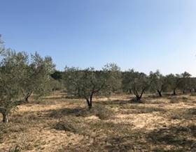 lands for sale in bonares
