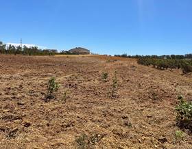 lands for sale in almonte