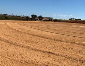 lands for sale in villarrasa