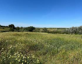 lands for sale in rociana del condado