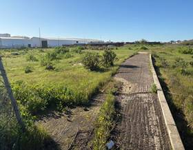 lands for sale in la palma del condado