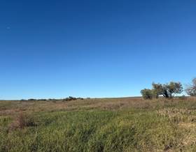 lands for sale in bollullos par del condado