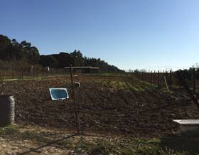 rustic property sale villarrasa villarrasa by 95,000 eur