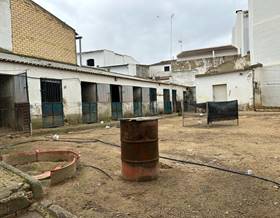 lands for sale in villalba del alcor