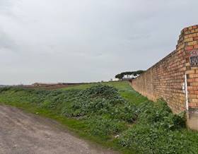 land sale bollullos par del condado andalucia by 100,000 eur