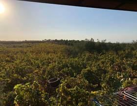 lands for sale in villalba del alcor