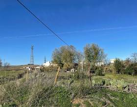 lands for sale in bollullos par del condado