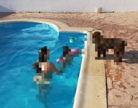 lands for sale in bonares