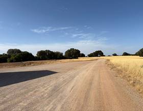 lands for sale in ciudad real province