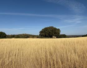 rustic property sale alhambra alhambra by 8,500,000 eur