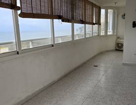 apartments for rent in arenales del sol