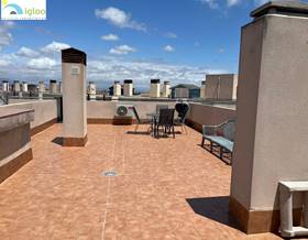 penthouses for rent in almoradi