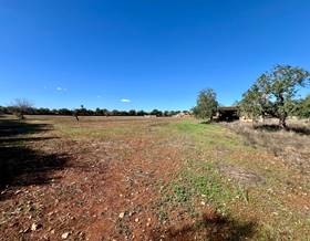 land sale campos campos by 500,000 eur