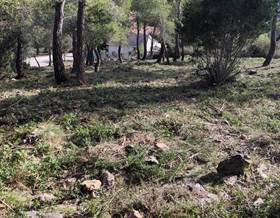 lands for sale in santa coloma de cervello