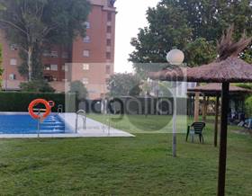 flat rent sevilla sevilla by 1,600 eur