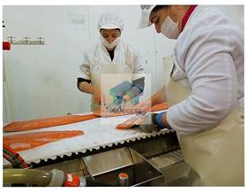 industrial warehouses for sale in tortosa