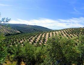 houses for sale in cordoba province