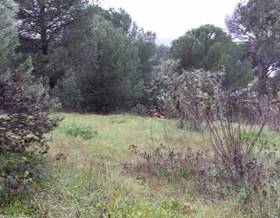 lands for sale in cordoba