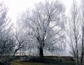 villa sale san cristobal de la polantera casco antiguo by 33,000 eur