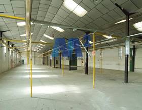 industrial warehouses for rent in pinto