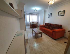 studios for rent in benidorm