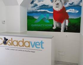 premises for rent in san fernando de henares