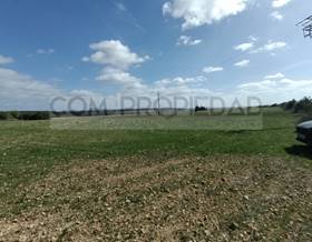 rustic property sale petra by 850,000 eur