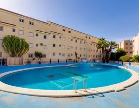 apartments for sale in punta prima