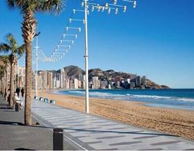 premises for sale in benidorm