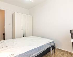 room rent elda centro by 280 eur