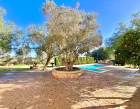 lands for rent in balearic islands