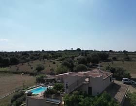 houses for sale in sineu