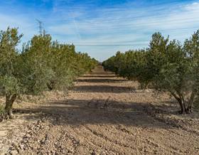 land sale crevillent comunidad valenciana by 45,900 eur