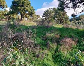 lands for sale in malaga province