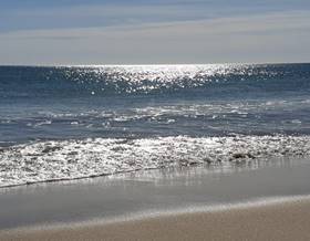 flat rent el campello playa muchavista by 1,950 eur