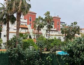 apartments for rent in caleta de velez