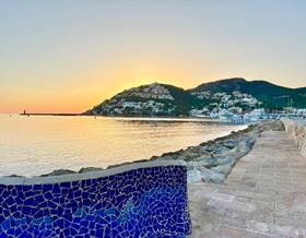 apartments for rent in andratx