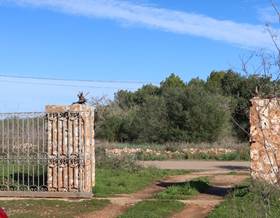 land sale campos campos by 315,000 eur