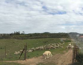 rustic property sale valverde del camino sin zona by 1,300,000 eur