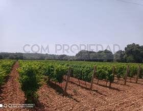 rustic property sale costitx by 700,000 eur