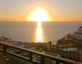houses for sale in gran canaria las palmas