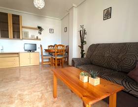 apartment rent torrevieja centro by 750 eur