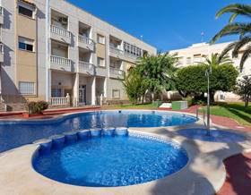 apartments for sale in san miguel de salinas