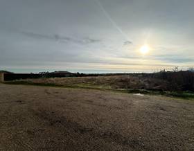 land sale zamora morales del vino by 25,000 eur