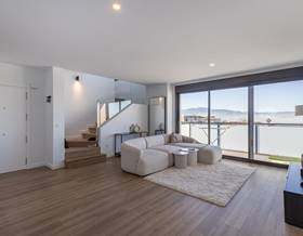 apartments for rent in cenes de la vega