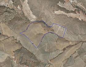 lands for sale in peñuelas